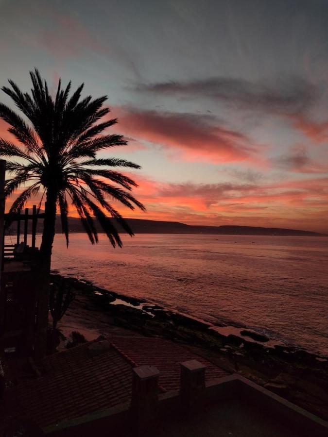 Hostel The Endless House Anchor Point Taghazout Dış mekan fotoğraf