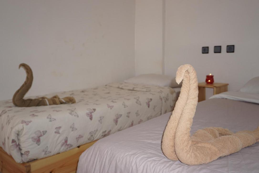Hostel The Endless House Anchor Point Taghazout Dış mekan fotoğraf